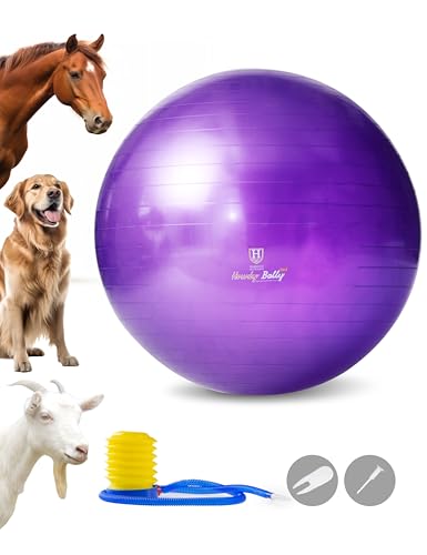 Harrison Howard Howdy Bally Mega Horse Play Ball Anti-Burst Riesiger Spielball für Pferde – 55,9 cm, Königsviolett von Harrison Howard