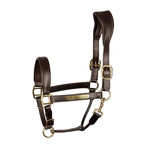 Harry's Horse 28500003-03-COB Anatomic Lederhalfter, Cob, Braun von Harry's Horse