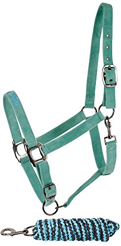 Harry's Horse 31005002-14full Halfterset Equestrian Society SU16 - Full, L, türkis von Harry's Horse