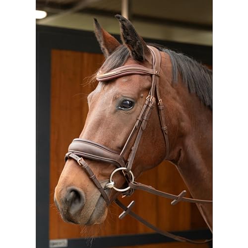 Harry's Horse Trense Soft Bombastic Cob Braun von Harry's Horse