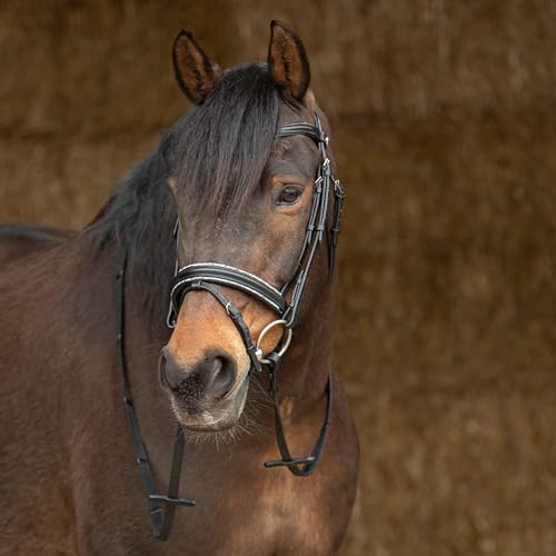 Harry's Horse Trense Sparkle Leder Voll Schwarz von Harry's Horse