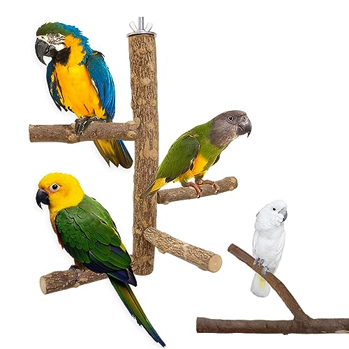 26,9 cm Vogel-Sitzstange, Spielzeug, Sittichkäfig-Zubehör, Spielzeug, 100% Naturholz & Edelstahl-Hardware-Muttern, Vogelständer-Spielplatz für Nymphensittiche, Wellensittiche, Lovebirds, echte von HassGuk