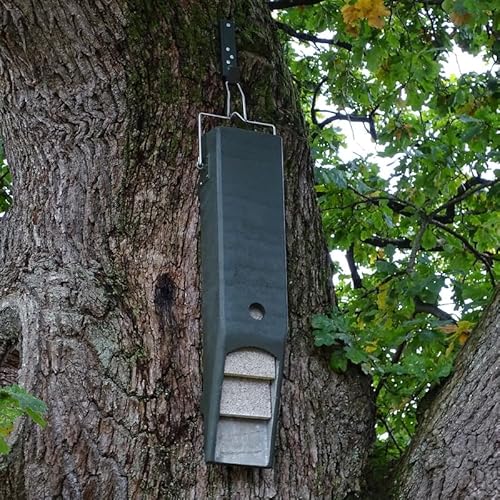 HASSELFELDT Fledermaus-Universal-Langhöhle aus Holzbeton, spaltenlastige Ausführung | Fledermausquartier | Fledermauswochenstube | Großraumhöhle | Sommerquartier| Fledermauskasten| Fledermaus-Haus von Hasselfeldt