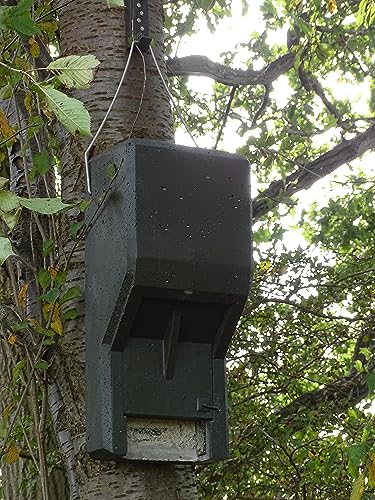 HASSELFELDT Fledermausganzjahresquartier für Abendsegler aus Holzbeton | Winterquartier | Sommerquartier| Fledermausquartier | Fledermauswochenstube | Großraumhöhle | Fledermauskasten| Fledermaus-Haus von Hasselfeldt