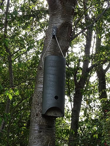 HASSELFELDT Fledermausgroßraumröhre aus Holzbeton | Wetterfest | Fledermausquartier | Fledermauswochenstube | Großraumhöhle | Sommerquartier | Fledermauskasten | Fledermaus-Haus | Selbstreinigend von Hasselfeldt