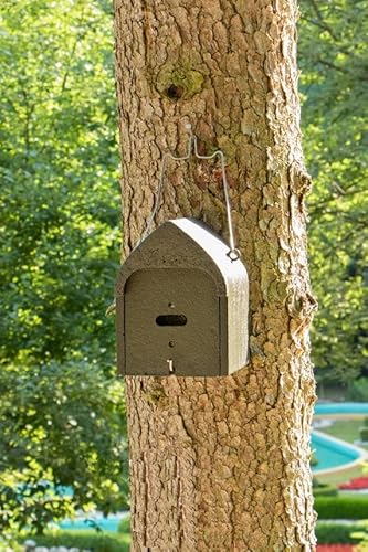 HASSELFELDT Fledermaushöhle aus Holzbeton mit dreifacher Vorderwand 18mm | Wetterfest | Fledermausquartier | Fledermauswochenstube | Großraumhöhle | Sommerquartier| Fledermauskasten| Fledermaus-Haus von Hasselfeldt