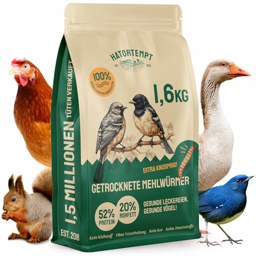 Hatortempt Premium Mehlwürmer getrocknet - Non-GMO, Natürliches Vogelfutter Wildvögel ganzjährige Ernährung, trockene Würmer für Vögel, Hamster 1.6 kg von Hatortempt