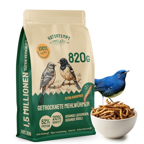 Hatortempt Premium Mehlwürmer getrocknet - Non-GMO, Natürliches Vogelfutter Wildvögel ganzjährige Ernährung, trockene Würmer für Vögel, Hamster 820 gr von Hatortempt