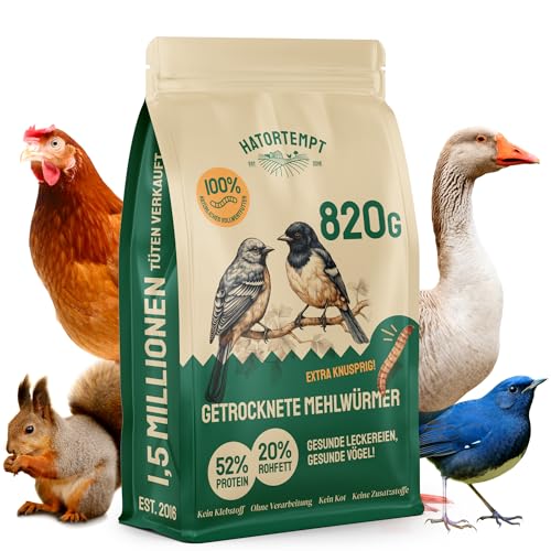 Hatortempt Premium Mehlwürmer getrocknet - Non-GMO, Natürliches Vogelfutter Wildvögel ganzjährige Ernährung, trockene Würmer für Vögel, Hamster 820 gr von Hatortempt