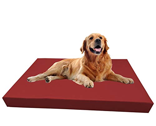 Barry & Lucy Hundelager Hundematte Hunde Matratze Hundeschlafmatte Hundebett Hundekissen Hundeplatz Kunstleder viele Farben (105x75x10, dinkelrot) von Haus & Garten