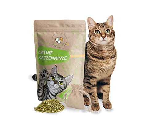 Haustierherz Echte Katzenminze Mit Befüllbarem Säckchen, Katzenspielzeug Selbstbeschäftigung, Catnip, 100 g Aus Deutschland, Auffüllen Von Katzenspielzeug Katzen Kissen Catnip Ball von Haustierherz