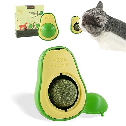 Havenfly Drehbare Katzenminze Ball, Katzenminze Spielzeug Wandroller für Katze, Katzenspielzeug Essbar mit Katzen Minze, Catnip Ball Toy von Havenfly