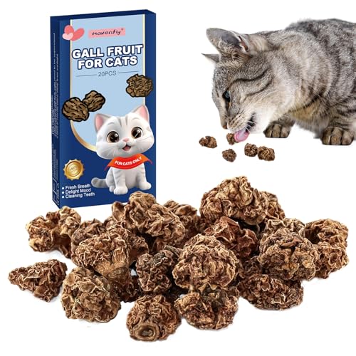 Havenfly Matatabi Früchte Spielzeug für Katze, Zahnreinigung Dentales essbares Kätzchenspielzeug Katzen Zahnreinigung(20PCS) von Havenfly