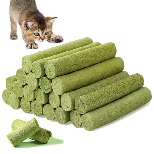 Katzengras Snack, 100g Katzengras Sticks Gefriergetrocknet Snacks für Katzen für die Zahnpflege und Haarknäuel Entfernen, Katzenminze, Cat Grass Stick von Havenfly