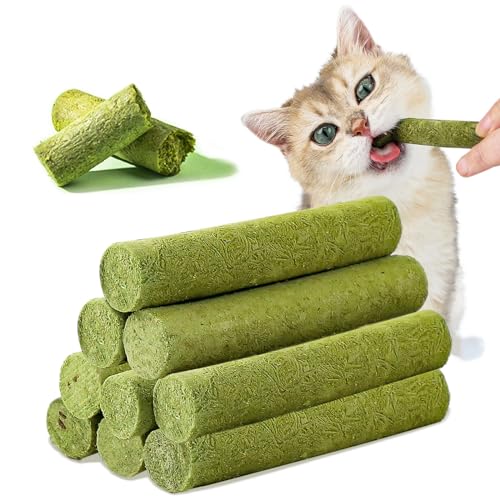 Katzengras Snack, 50g Gefriergetrocknet Snacks für Katzen für die Zahnpflege und Haarknäuel Entfernen, Katzenminze von Havenfly