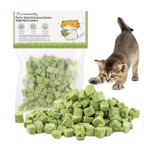 Katzengras Snack, 60g Katzengras Sticks Gefriergetrocknet Snacks für Katzen für die Zahnpflege und Haarknäuel Entfernen, Katzenminze von Havenfly