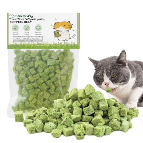 Katzengras Snack,120g Gefriergetrocknet Snacks für Katzen für die Zahnpflege und Haarknäuel Entfernen, Katzenminze von Havenfly