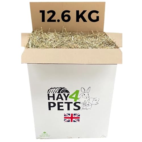 Hay4Pets Wiesenheu - 12,6 kg Frisches grünes Futterheu für Kaninchen, Meerschweinchen, Hamster & Kleintiere, ballaststoffreich, Naturfutter für Haustiere, Trockengras Tierfutter von Hay4Pets