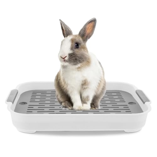 Kaninchenstrauder Tablett 2 Tier Rabbit Müllbox Rechteckige Hasen -Haustier -Toilette, 7,3x10,6x1,3 Zoll Töpfchen -Trainer Bettwäsche Rabbit Müllbox Kaninchen -Toilette, Haustierbedarf von Hbbgdiy