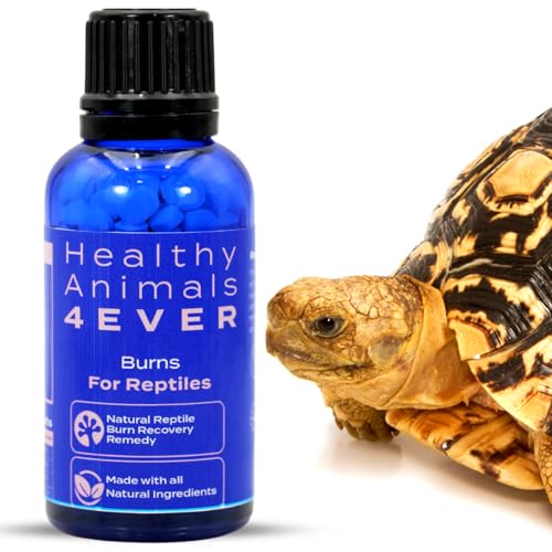 HealthyAnimals4Ever Natürliches Heilmittel zur Wiederherstellung von Verbrennungen bei Reptilien von HealthyAnimals4Ever