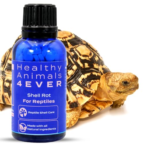 HealthyAnimals4Ever Reptilien-Shell-Pflege von HealthyAnimals4Ever