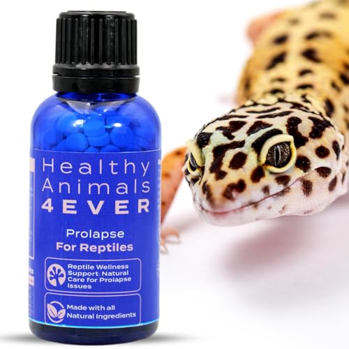 HealthyAnimals4Ever Reptilien-Wellness-Unterstützung: natürliche Pflege bei Prolapsproblemen von HealthyAnimals4Ever