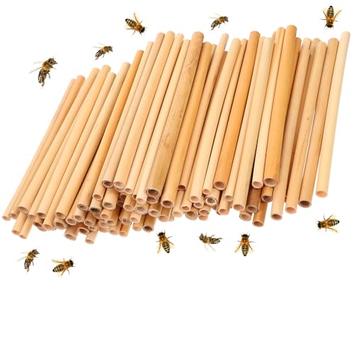 Healvian 300 Stück Mason Bee House 15,2 cm Outdoor Mason Bee Tubes Reed Bee Tubes Bee Nesting Tubes Refill Bee Tubes for Beekeeper von Healvian