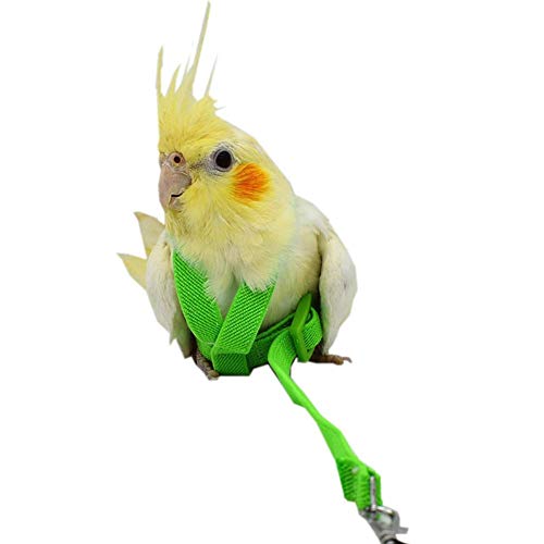 Hearthrousy Vogel Leine Vogelgeschirr Nymphensittich Vogelgeschirr Wellensittich Vogelgeschirr Aviator Pet Bird Papageiengeschirr Leine Bird Rope Training Supplies 2 M von Hearthrousy