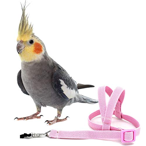 Hearthrousy Vogel Leine Vogelgeschirr Nymphensittich Vogelgeschirr Wellensittich Vogelgeschirr Aviator Pet Bird Papageiengeschirr Leine Bird Rope Training Supplies 2 M von Hearthrousy