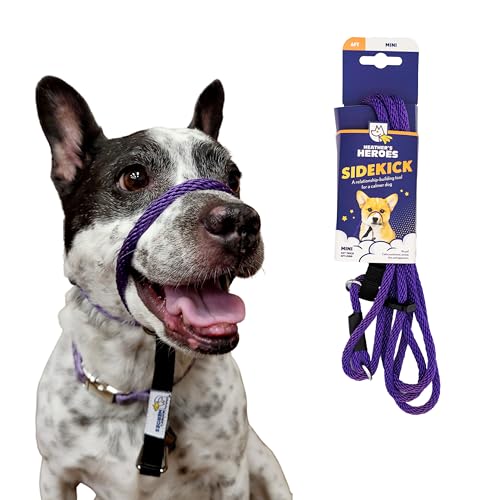 Heather's Heroes Sidekick Hundehalfter mit Leine – Sidekick-Leine für Hunde, effektives Hundetrainingsgerät für Reaktivität und Verhaltensprobleme der Leine (lila, Mini (6,35 mm) von Heather's Heroes