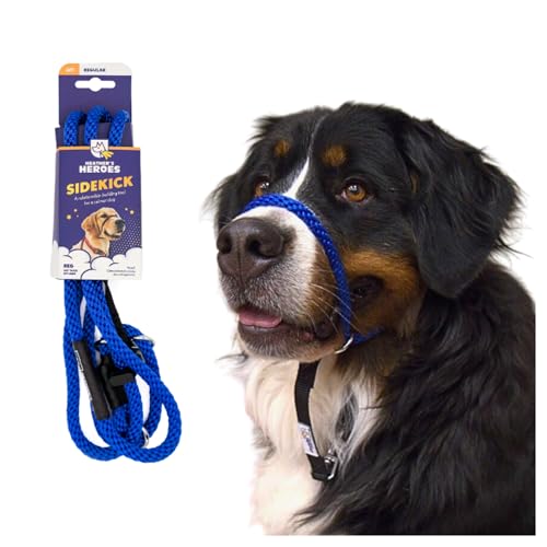 Heather's Heroes Sidekick Hundehalfter mit Leine, Sidekick-Leine für Hunde, effektives Hundetrainingswerkzeug bei Reaktivität und Verhaltensproblemen der Leine (normal (0,95 cm), Blau) von Heather's Heroes