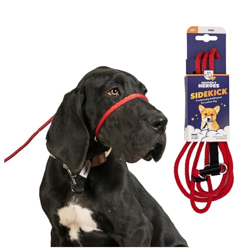 Heather's Heroes Sidekick Hundehalfter mit Leine – Sidekick-Leine für Hunde, effektives Hundetrainingsgerät für Reaktivität und Verhaltensprobleme der Leine (Rot, Mini (6,35 mm) von Heather's Heroes