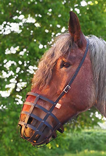 Heavy Horse Parts Fressbremse Strong Standardgröße mit Kehlriemen und Verstärkter Bodenplatte von Heavy Horse Parts