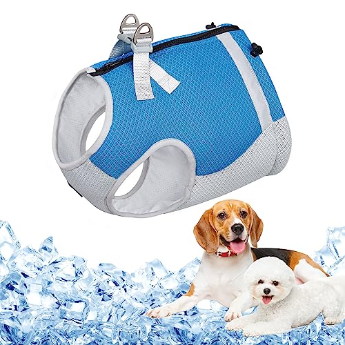 Kühlweste Hunde Atmungsaktives Mesh Hundejacke Hundekühlweste Verstellbare Kühljacke Sommer Cool Hundemantel mit Reflektierenden Streifen,Blau,L von Heflashor
