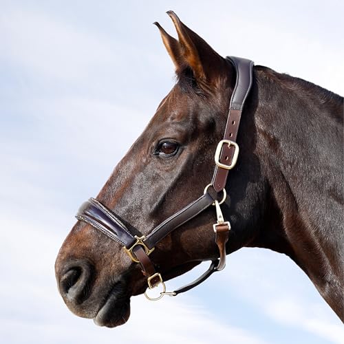 Heinick Lederhalfter ~ Shiny Braun-Gold ~ estra weich mit Glitzer-Besatz Warmblut von Heinick-Reitsport