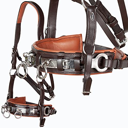 Heinick-Reitsport Profi Leder KAPPZAUM Edelstahl mit Gebissriemen Naseneisen ~ Braun-Chestnut ~ Vollblut von Heinick-Reitsport