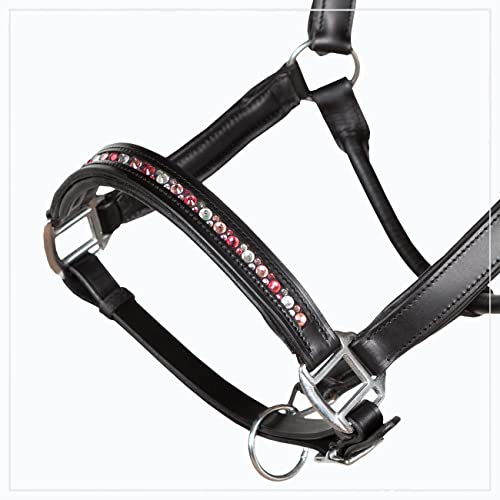 Heinick-Reitsport Qualitäts Lederhalfter ~ ProLine Dust Heart ~ Stallhalfter Halfter Strass Warmblut von Heinick-Reitsport