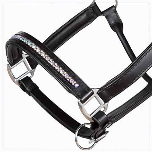 Heinick-Reitsport Qualitäts Lederhalfter ~ ProLine Dust Rainbow ~ Stallhalfter Halfter Strass Vollblut von Heinick-Reitsport