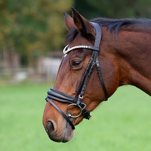 Heinick Trense Custom Schnallen Schwarz Schnellwechselsystem ~ Warmblut ~ von Heinick-Reitsport