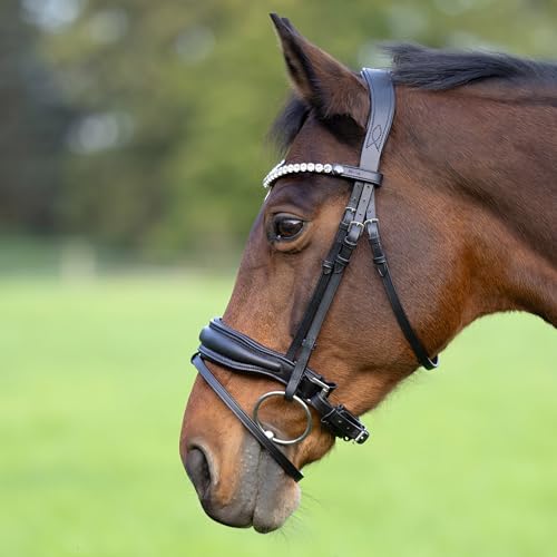 Heinick Trense Custom Zaumhaken Schwarz Schnellwechselsystem ~ Warmblut ~ von Heinick-Reitsport