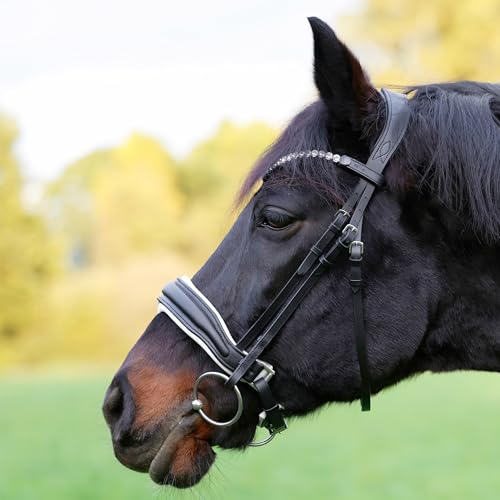 Heinick Trense Custom Zaumhaken Weiss Schnellwechselsystem ~ Warmblut ~ von Heinick-Reitsport