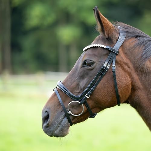 Heinick Trense Fenja Schnallen Schwarz Lack Schnellwechselsystem ~ Vollblut ~ von Heinick-Reitsport