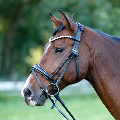 Heinick Trense Performance-Liberty Schwarz Lack Schnellwechselsystem ~ Warmblut ~ von Heinick-Reitsport