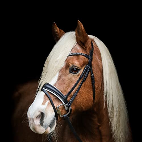 Heinick Trense Performance anatomisch Weiß Glow Schnallen oder Zaumhaken Vollblut 9 Stirnriemen von Heinick-Reitsport