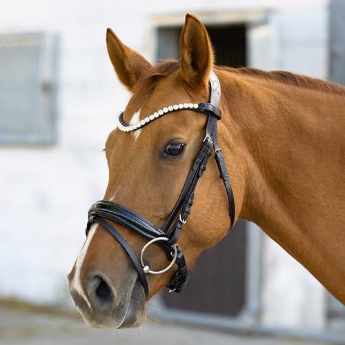 Heinick Trense Selection Lack Schnallen Schwarz Schnellwechselsystem ~ Warmblut ~ von Heinick-Reitsport