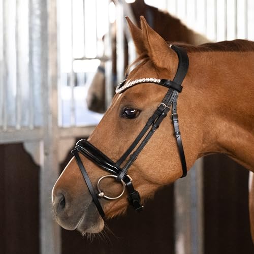 Heinick Trense Selection Lack Zaumhaken Schwarz Schnellwechselsystem ~ Warmblut ~ von Heinick-Reitsport