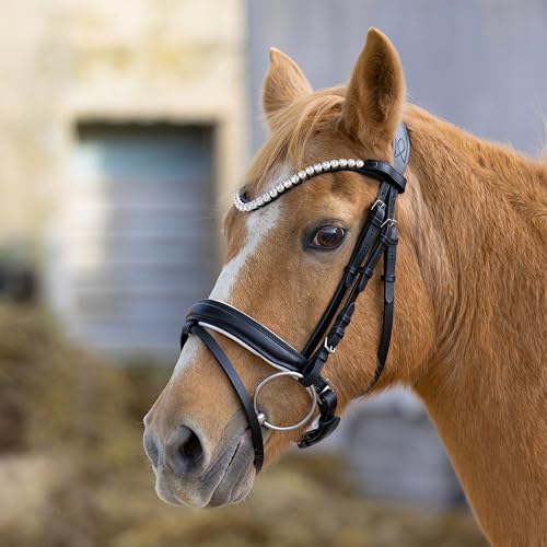 Heinick Trense Selection Schwarz-Weiß Schnallen Schnellwechselsystem ~ Vollblut ~ von Heinick-Reitsport