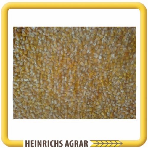 Futtermais 25 Kg von Heinrichs Agrar