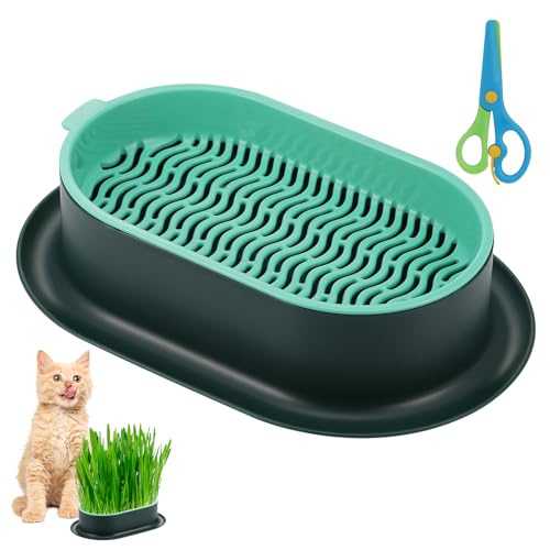 Hejo Pflanzschalen für Katzengras Keimschalen, Gras-Tablett Katzengras Keimschale, Pflanzer Hydroponics Seed Sprouter aus ABS Material, Soil-Free Seed Sprouter für Katzengras(Grün) von Hejo