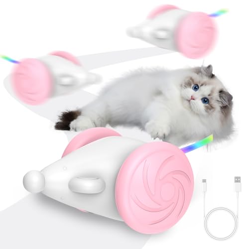 Hekasvm Katzenspielzeug Selbstbeschäftigung, Interaktives Katzenspielzeug, Spielzeug für Katzen, USB-C Aufladung, Bunt leuchtender Schwanz, Intelligente Sensorik, 2-Gang-Einstellung, BPA-frei (Rosa) von Hekasvm